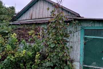 Дом, 40,5 м², 1 эт.